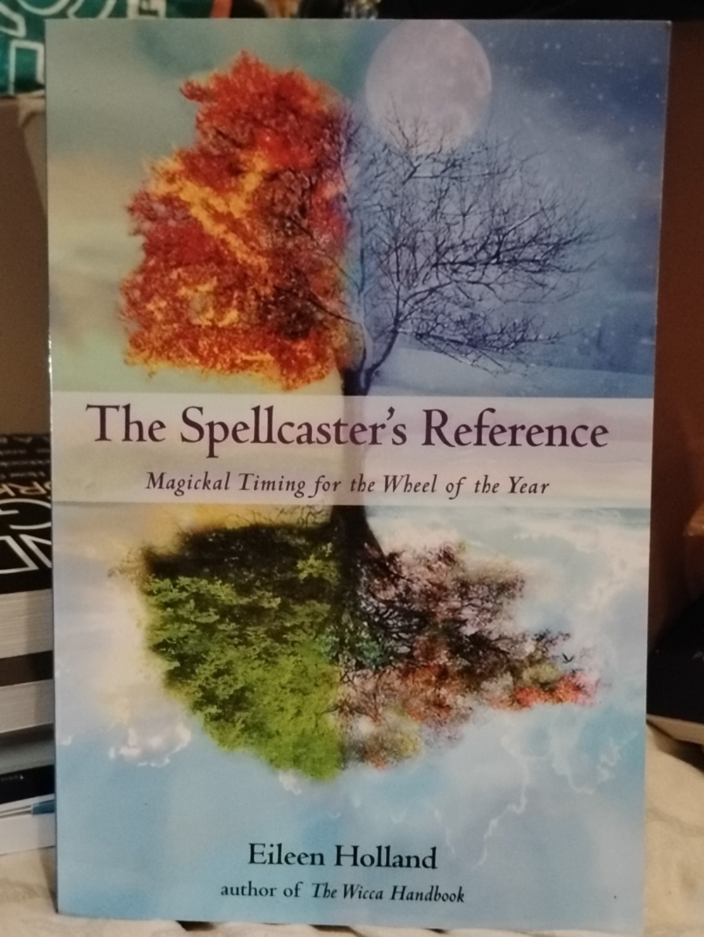 The Spellcaster's Reference by Eileen Holland Book Witch Wheel Of The Year Pagan